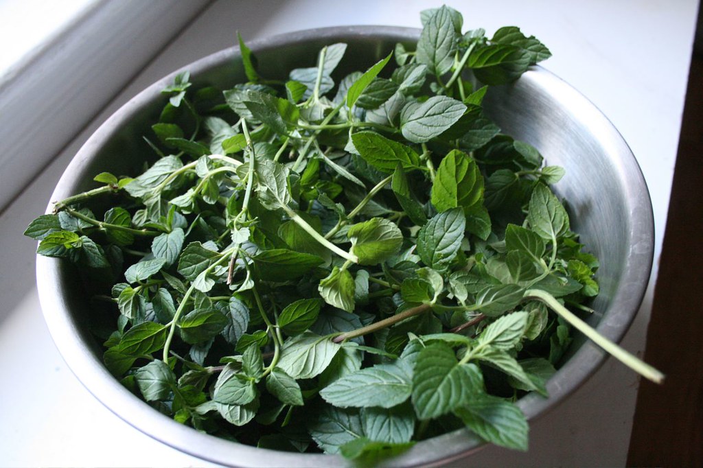 mint_in_a_bowl_kitchen_sink