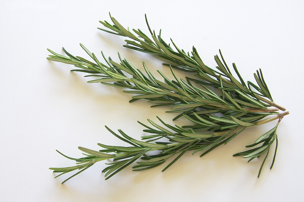 rosemary_bunch