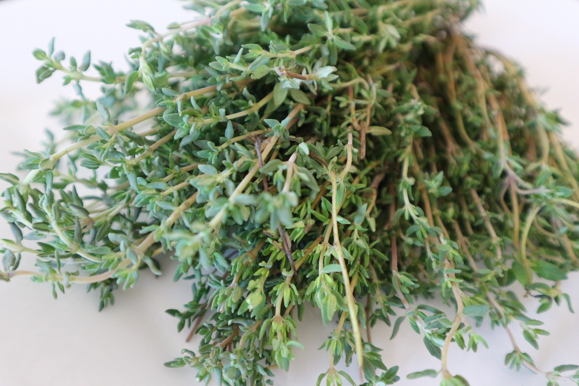 thyme_bunch